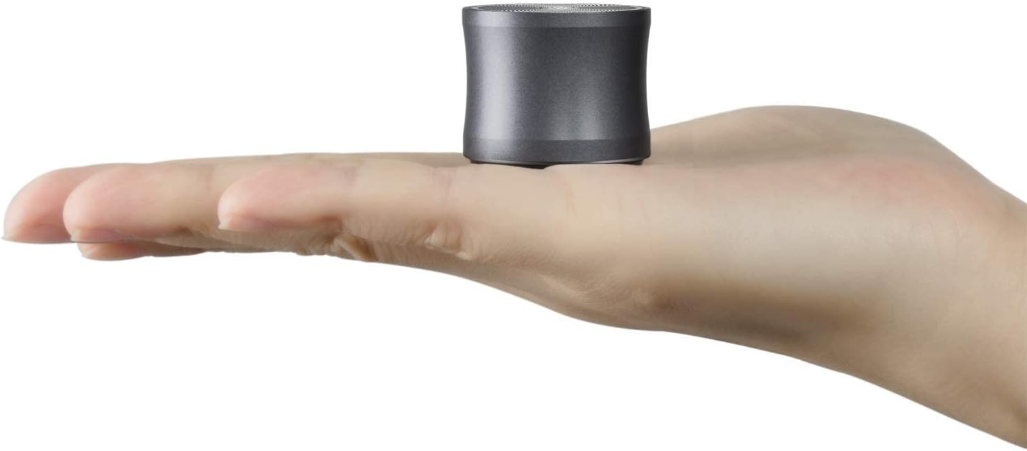EWA A109mini Powerful Bluetooth Speaker and Black EVA Case